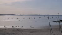 Plougonvelin - Plage du Trez-Hir