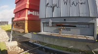 Pszczoły