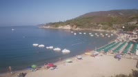 Isla de Elba - Cavoli