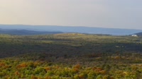 Miniatiūra