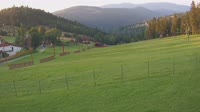 Miniatiūra