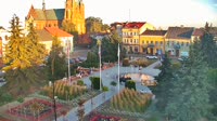 Rynek