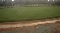 Jurong - Pola uprawne