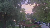 Vignette