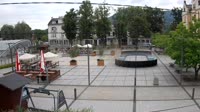 Rynek