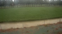 Jurong - Pola uprawne