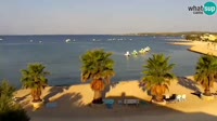 Vir - Playa