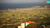 Pag - Kolan - Gligora Cheese Factory