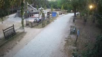 Miško parkas
