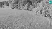 Medvode - Bonovec