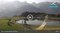 Fiss - Wolfsee