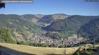 Todtnau im Südschwarzwald - Hasenhorn
