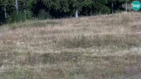 Cardini - Monte Alpet - Roburent