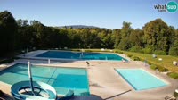 Mariboras - Kamnica - Mariborski Otok