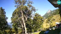 Tolminske Ravne - Planina Razor - Migovec