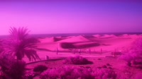 Gran Canaria - Maspalomas - Mirador Dunas