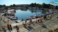 Novigrad - Mandrač