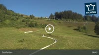 Saalfelden - Sommerrodelbahn