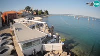 Novigrad - Porporela