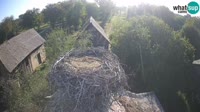 Jasenovac - Lonjsko Polje - Bociany