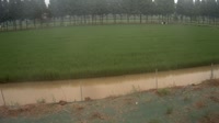 Jurong - Ackerland
