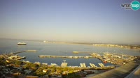 Roses - Port