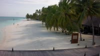 Meeru Island - Plaża