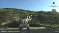 Radebeul - Zamek Wackerbarth