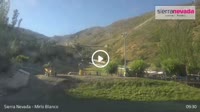 Sierra Nevada - Mirlo Blanco