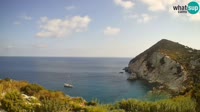 Ponza - Cala Cecata
