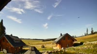 Oberharz am Brocken - Tanne