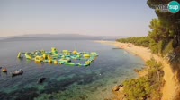 Brač - Bol - Zlatni rat