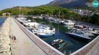 Svogoschia - Blato Marina