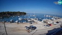 Savudrija - Marina