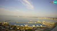 Roses - Porto