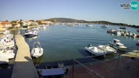 Asinello - Porto