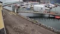 Fenit - Marina