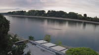 Colonia - Rin