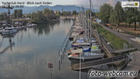 Hard - Zollhafen