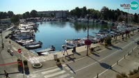 Novigrad - Mandrač