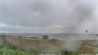 Laukvik