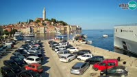 Rovigno - Vista panoramica