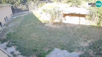 Lublana - ZOO