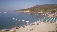 Isola d'Elba - Cavoli