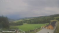 Zalesie - Mogielnica