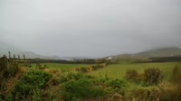 Wyspy Skellig - Valentia - Zatoka Foilhomurrum
