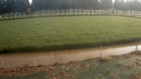 Jurongas - dirbama žemė