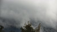 Sofros sveikatos institutas - Snežka