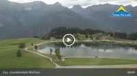 Fiss - Wolfsee