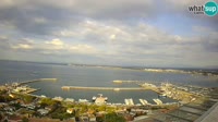 Roses - Port